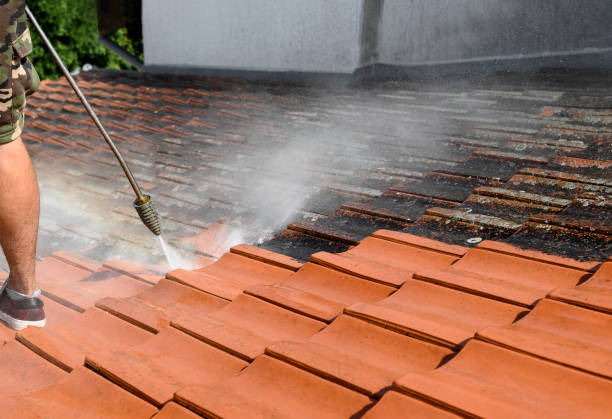 Best Roof Pressure Washing  in Hartley, CA